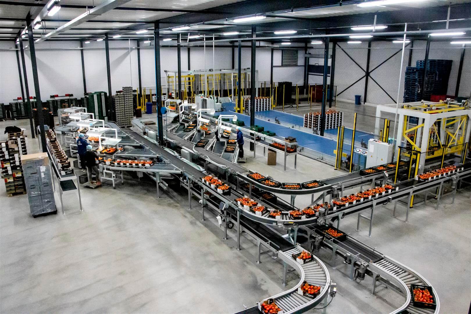 Fruit and Vegetable Cleaning Packing Production Line