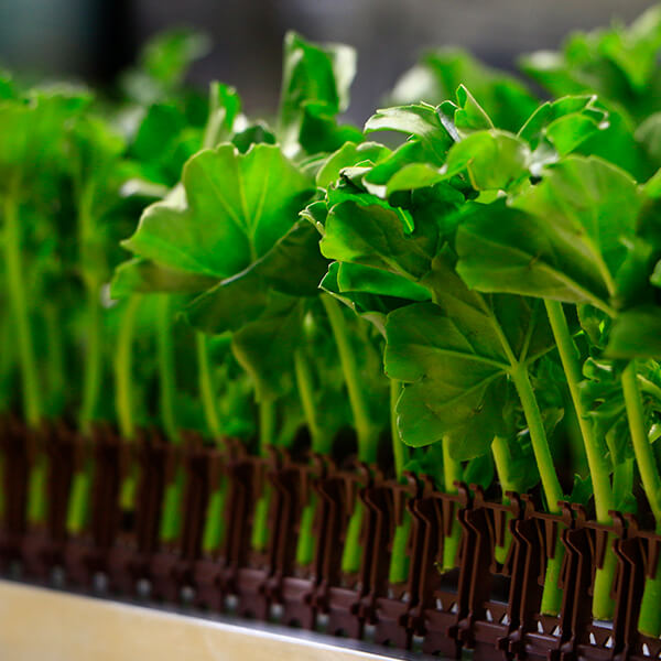 AutoStix®: Revolutionizing the cutting industry - Viscon Group