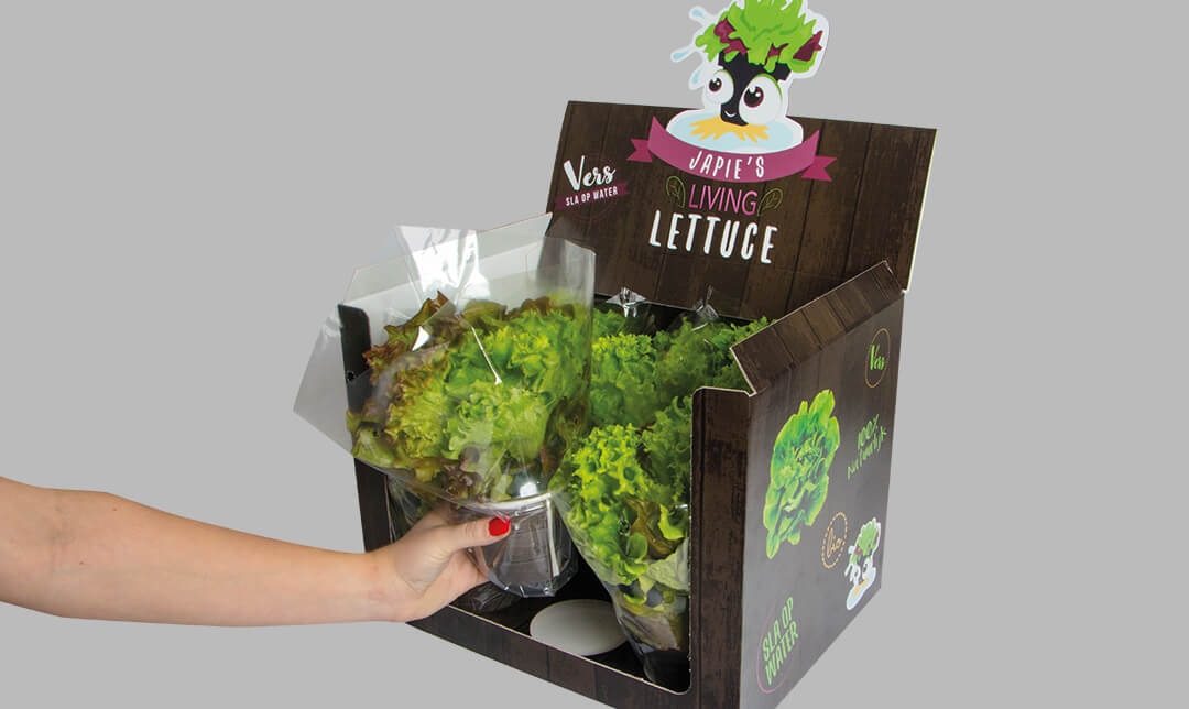 best hydroponic grown lettuce