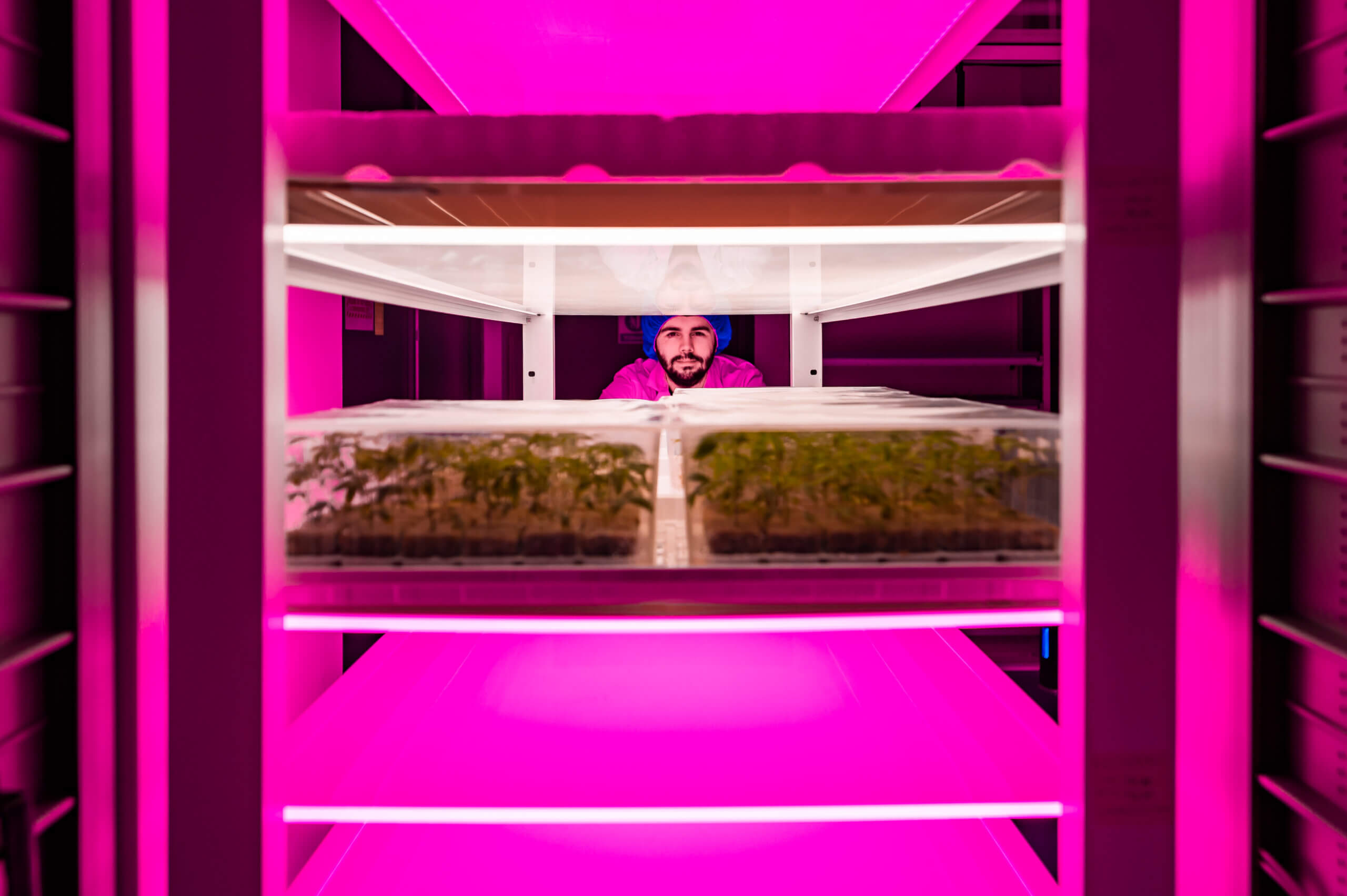 Tissue Culture Vertical Farm