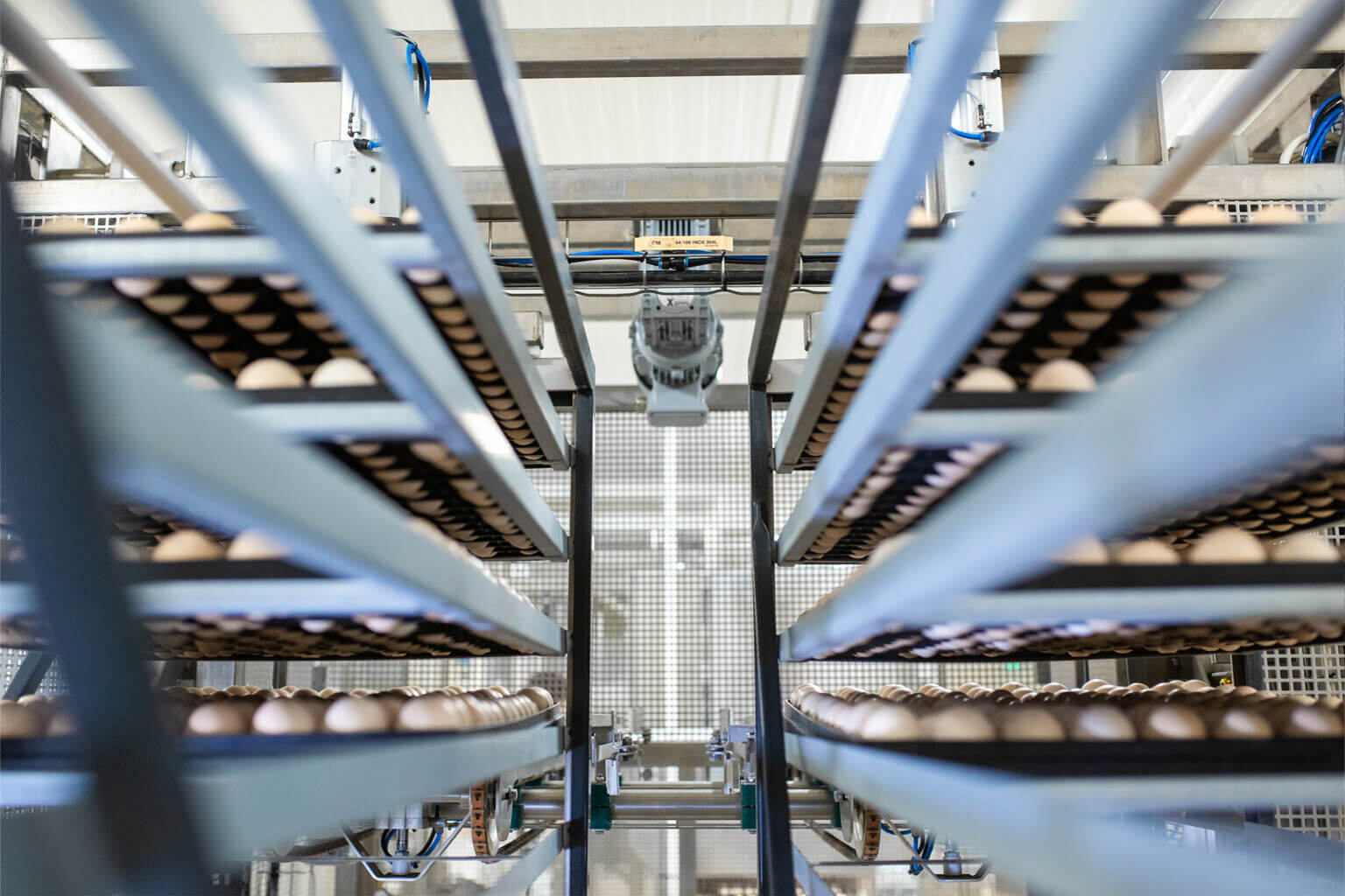 Viscon Viscon Group – Hatchery Automation