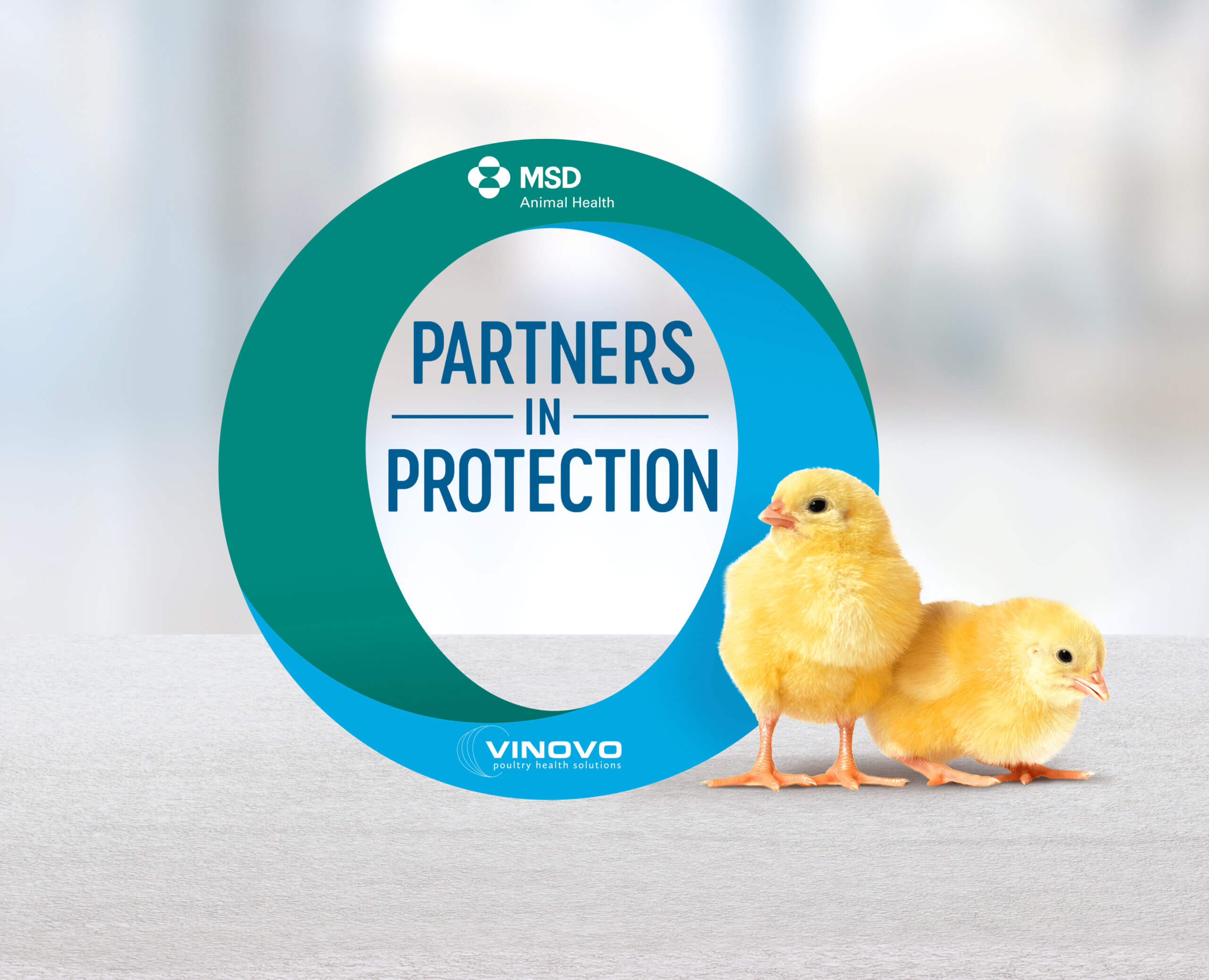 Partners in protection - Viscon Group