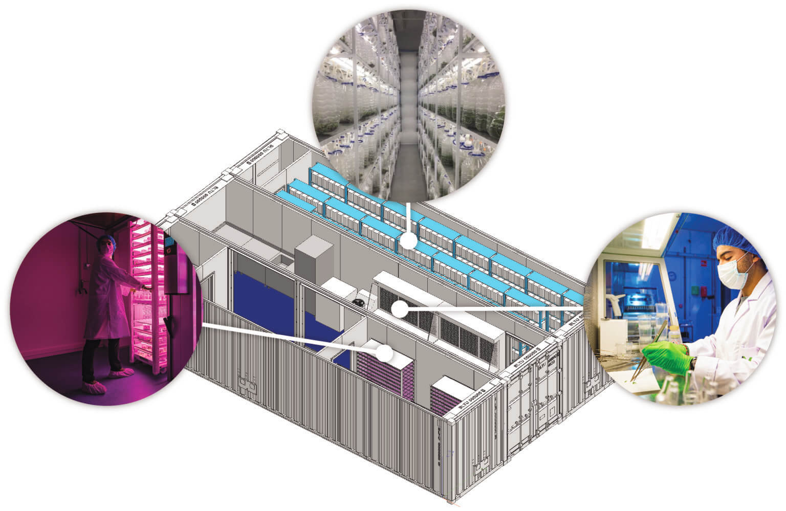 Containerized TC lab - Breeding - Viscon Group