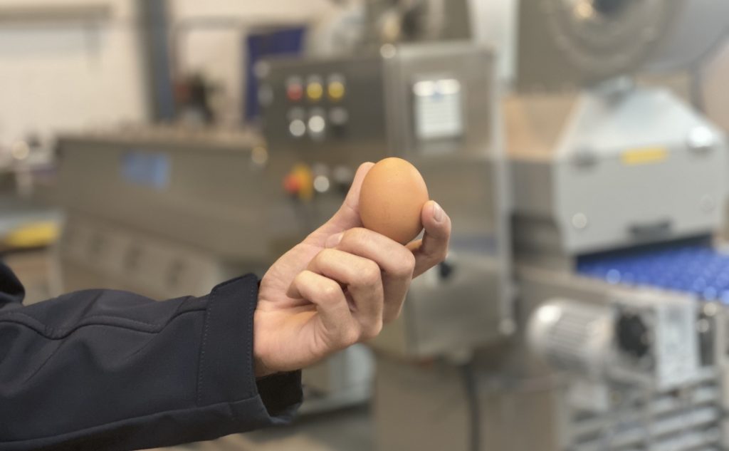 Egg washer | Taking cleaning to a higher level | Unifortes.com